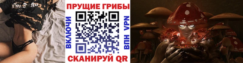 Купить  Новохопёрск  Псилоцибиновые грибы Cubensis 