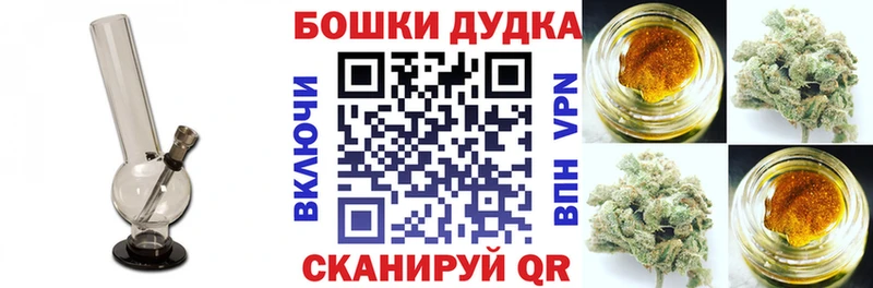 Купить закладки  Новохопёрск  Бошки Шишки Amnesia 